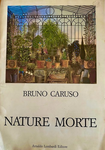 Bruno caruso nature morte - nature,